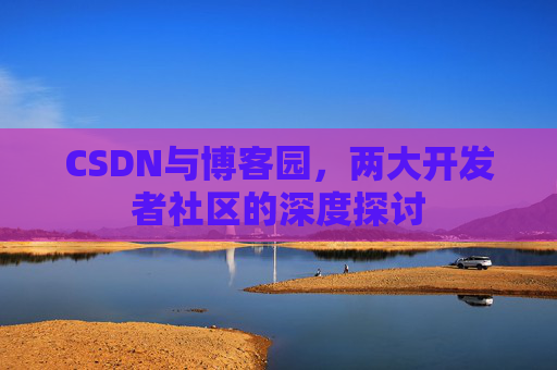 CSDN与博客园，两大开发者社区的深度探讨